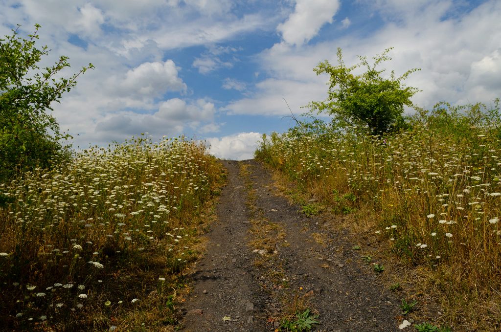 charleroi-location-bnb-eden-carolo-terriloview-05